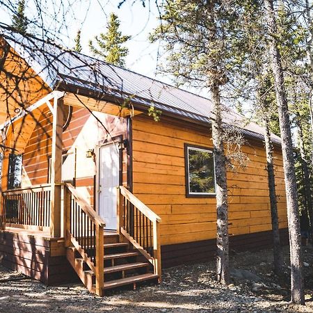 Denali Wild Stay - Redfox Cabin, Free Wifi, Private, Sleep 6 Хили Экстерьер фото